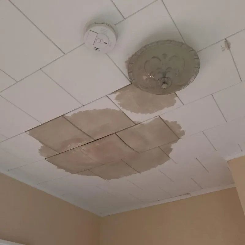 Ceiling Water Damage Repair in Grenada, MS