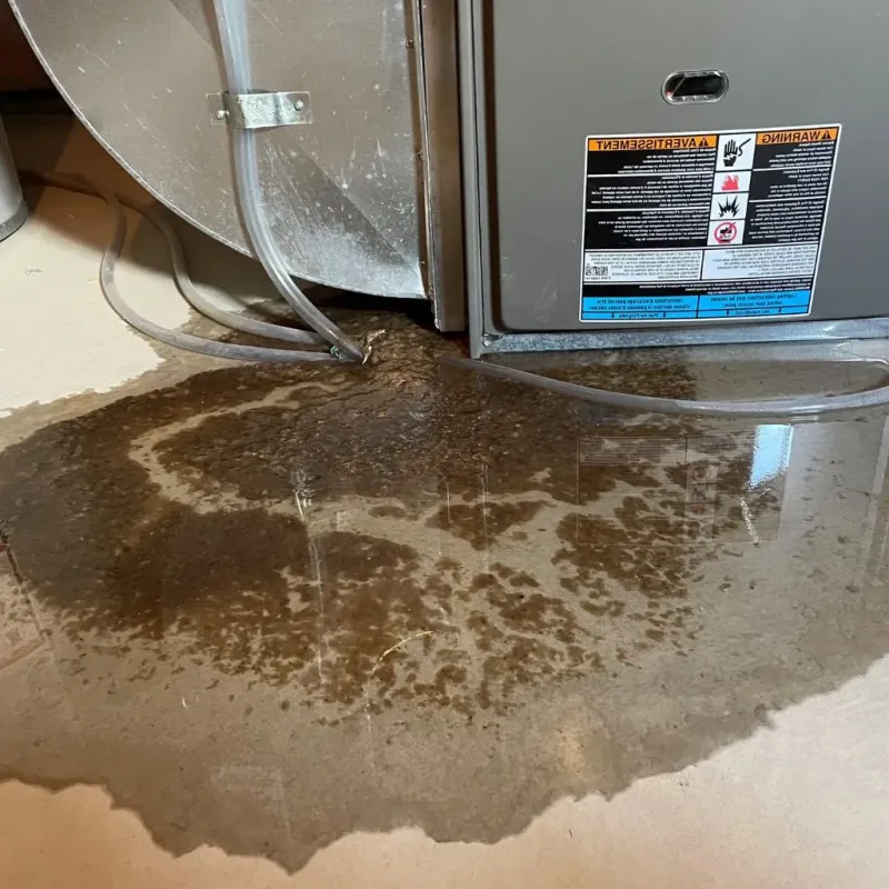 Pipe Burst and Leak Restoration in Grenada, MS